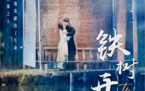 铁树开花第63集