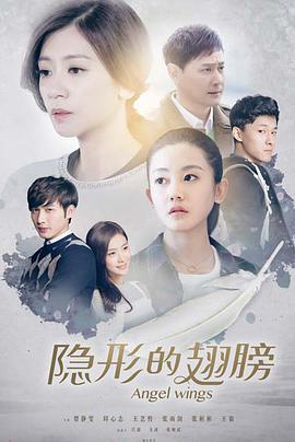 隐形的翅膀第09集
