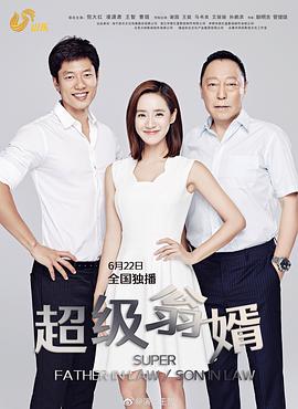 超级翁婿第15集