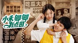 小禾卿卿有点田第12集