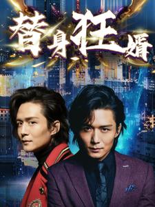 替身狂婿全集(大结局)