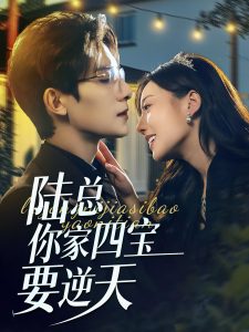 陆总你家四宝要逆天第1-20集