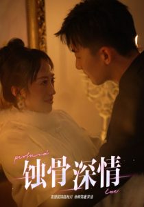 蚀骨深情第1-20集