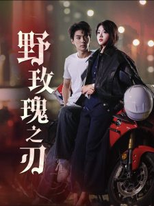 野玫瑰之刃第1-20集