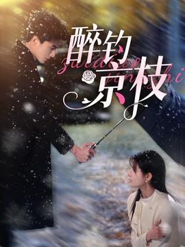 醉钓京枝第21-40集