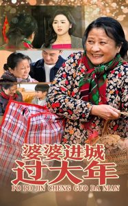 婆婆进城过大年全集完结(大结局)