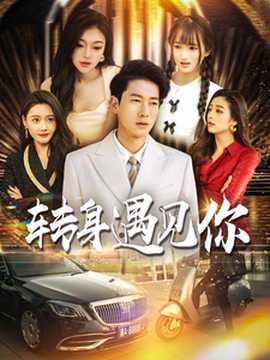 转身遇见你第41-60集