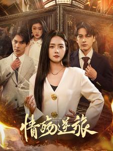 情殇逆旅第41-60集