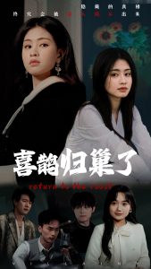 喜鹊归巢了第21-40集