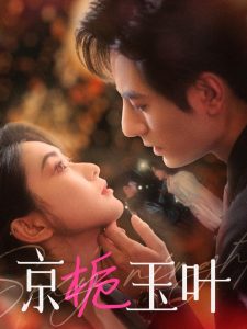 京栀玉叶第41-60集