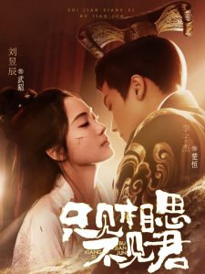 只见相思不见君第21-40集