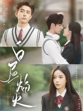 白昼焰火第1-20集