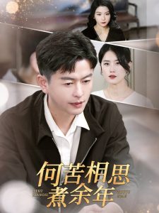 何苦相思煮余年第21-40集