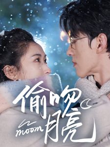 偷吻月亮第21-40集