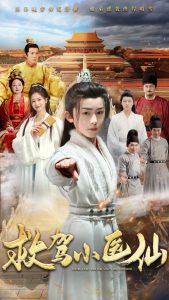 救驾小医仙第41-65集完结(大结局)