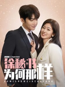 徐秘书为何那样第41-59集完结(大结局)