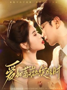 爱如蔷薇绽放时第41-60集