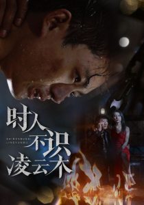 时人不识凌云木第21-40集