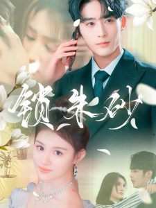 锁朱砂全集(大结局)