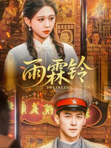 雨霖铃第21-40集