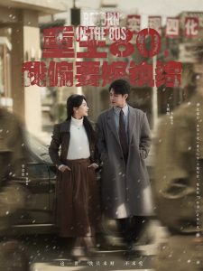 重生80，我偏要嫁纨绔全集(大结局)