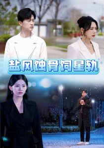 盐风蚀骨饲星轨第31-60集完结(大结局)