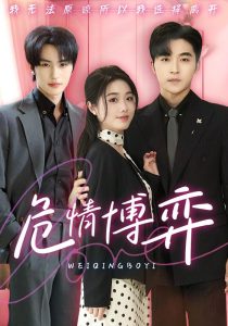 危情博弈第21-40集