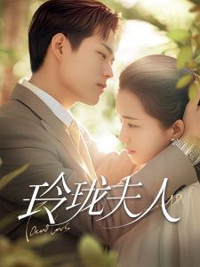 玲珑夫人第21-40集