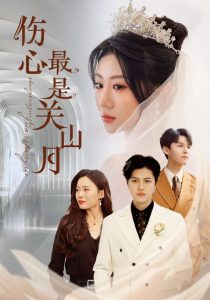 伤心最是关山月第21-40集