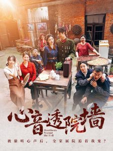 心音透院墙第1-30集