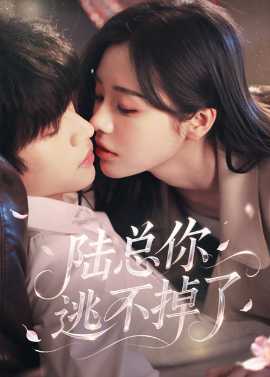陆总你逃不掉了＆爱意难逃(全集)