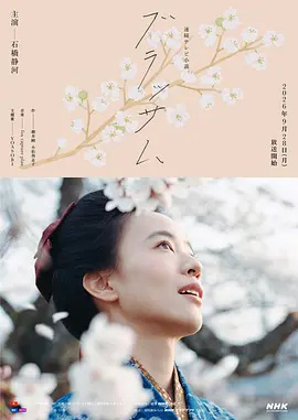 花朵盛开